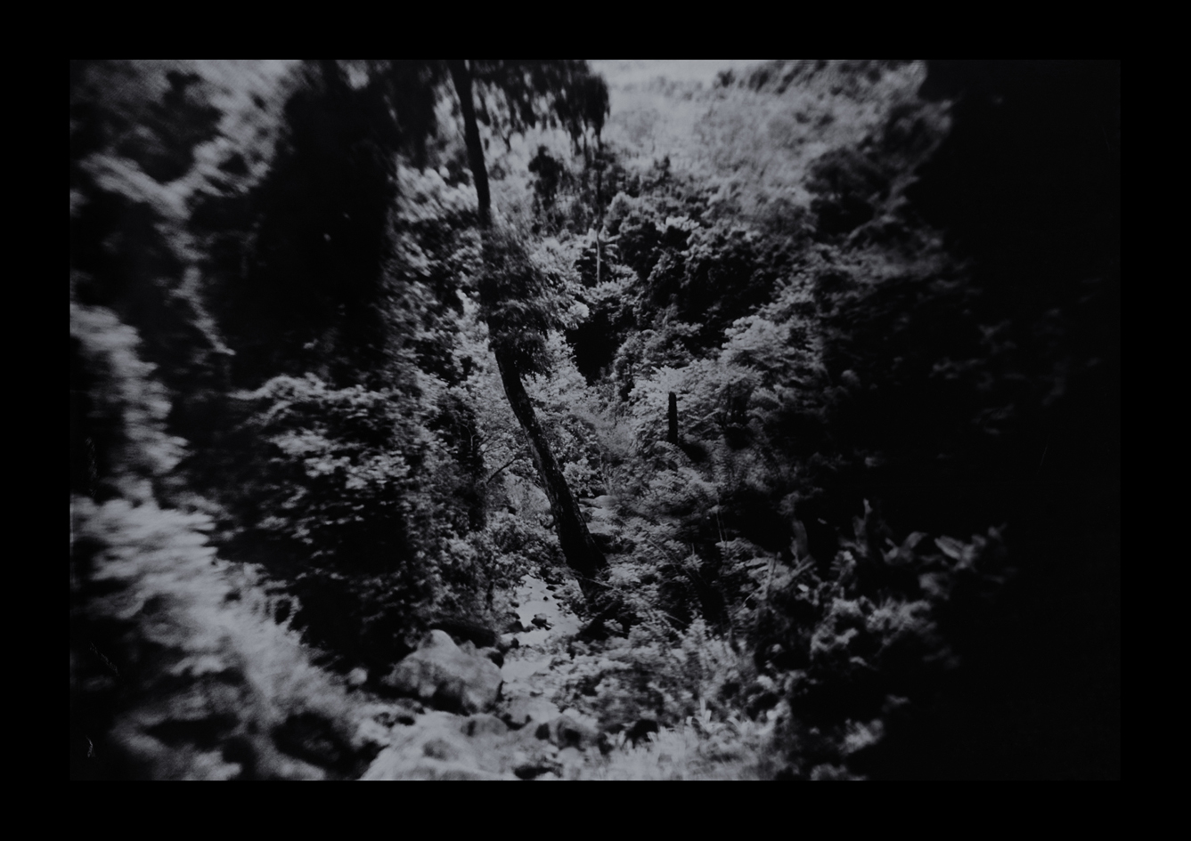  6º 43' 59.318" N 81º 1' 53.101" E